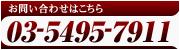 お問い合わせはこちら　03-5495-7911